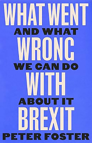 What Went Wrong With Brexit - And What We Can Do About It